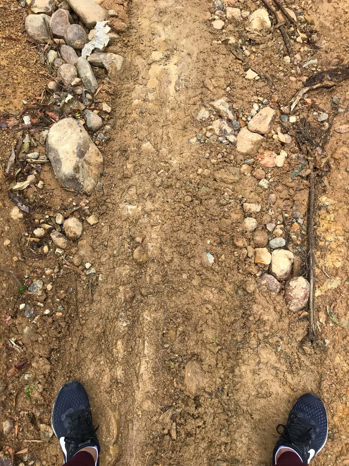 The same dirt track in the previous photo, seen from above, taken from the perspective of someone looking down. The person’s walking shoes can be seen at the bottom edge of the frame.