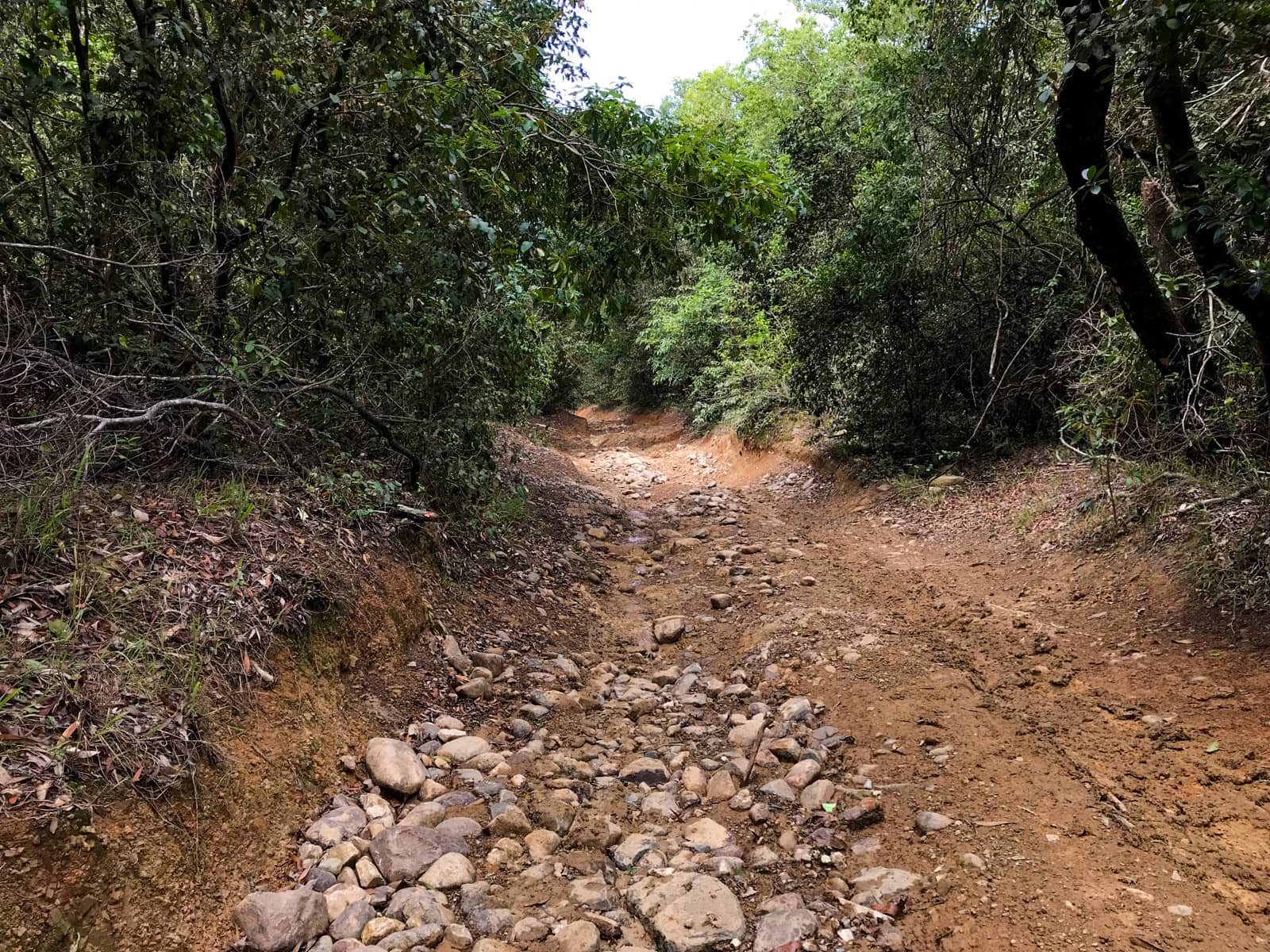 The same dirt track from previous photos, but further ahead, and looking deeper and more treacherous.