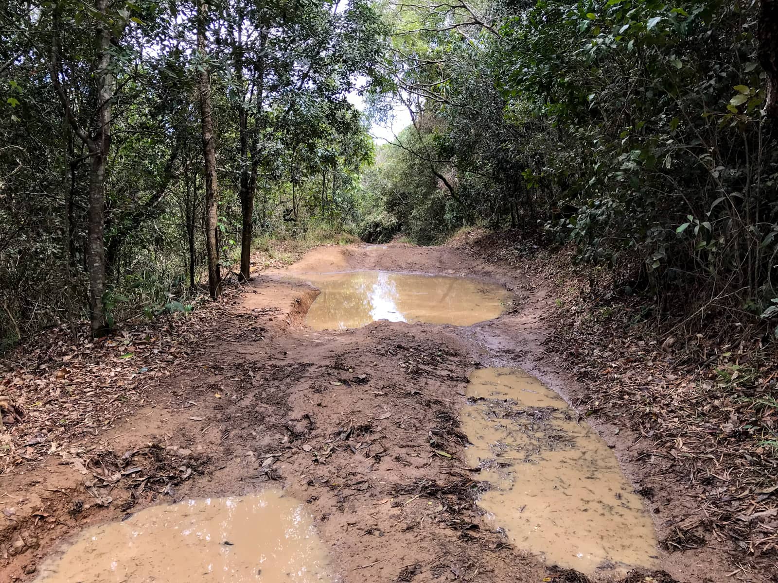 The same dirt track from previous photos but with deep puddles of muddy water filling some deep holes.