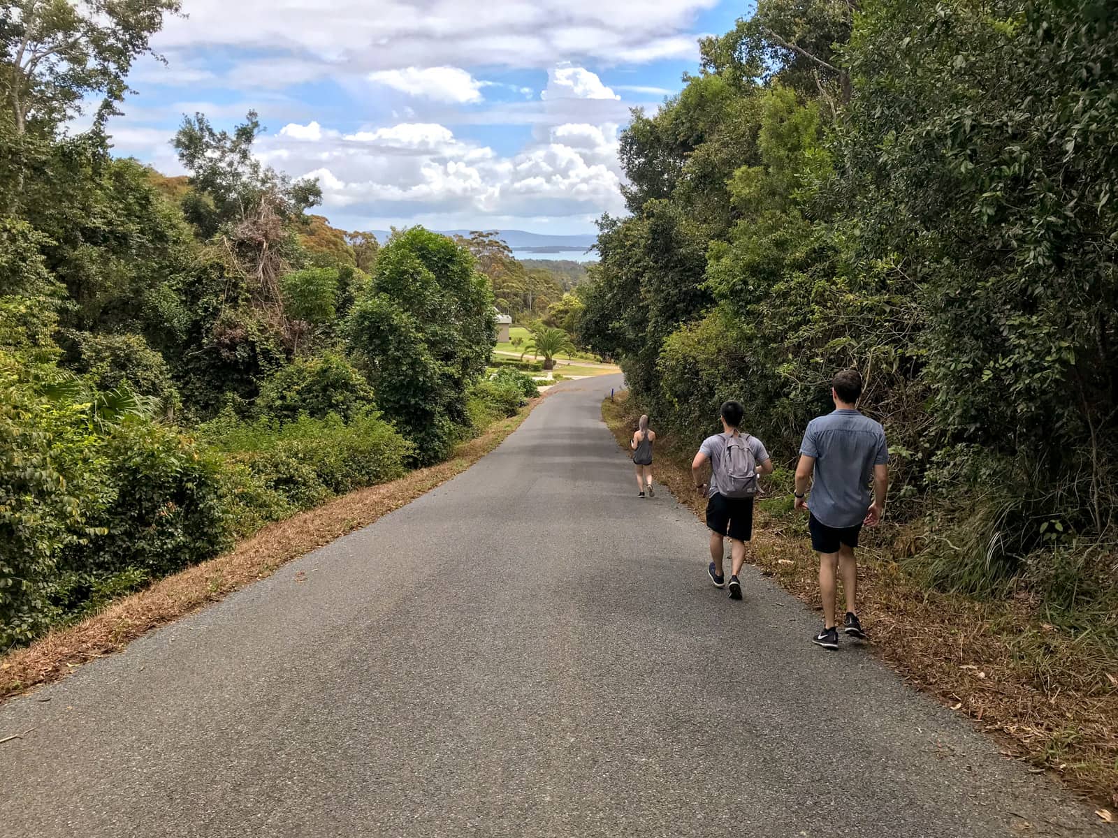 A road with three people walking down the right hand side. There are lush green trees and bushes lining the sides of the road. The road is on a slight decline. The sky is blue with many clouds.