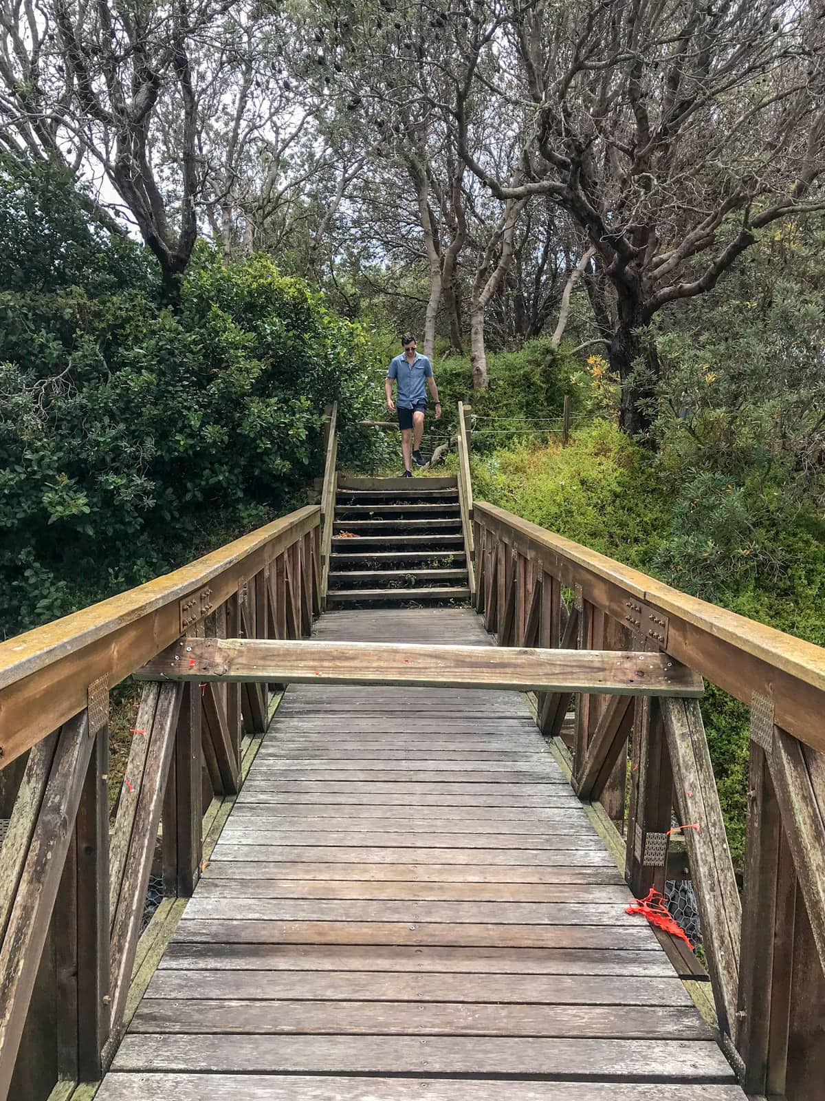 A wooden bridge taken from the point of view of someone standing on it. Just ahead is a set of stairs going upwards. A man wearing sunglasses and a blue collared shirt and dark shorts is walking down the stairs. In the foreground, a large wooden pole obstructs the walkway at around hip height.