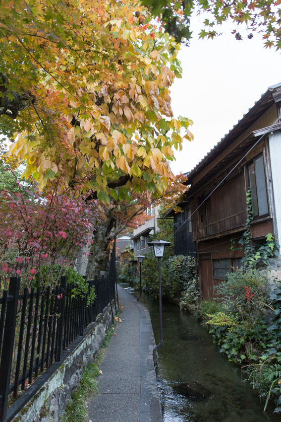 Waterways behind some of the houses, with a small path to the side, and some lamp posts