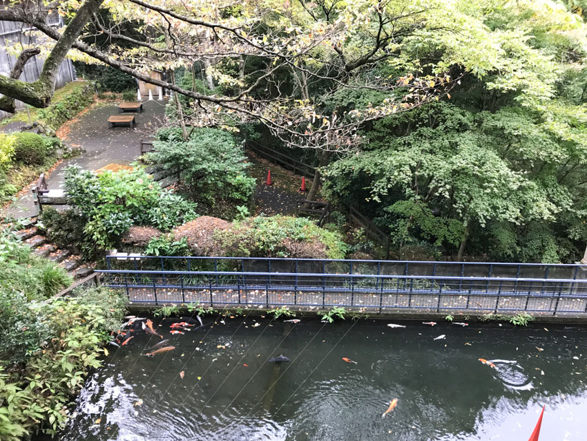 A top-down view of some of the greenery and water in the Open Air Museum