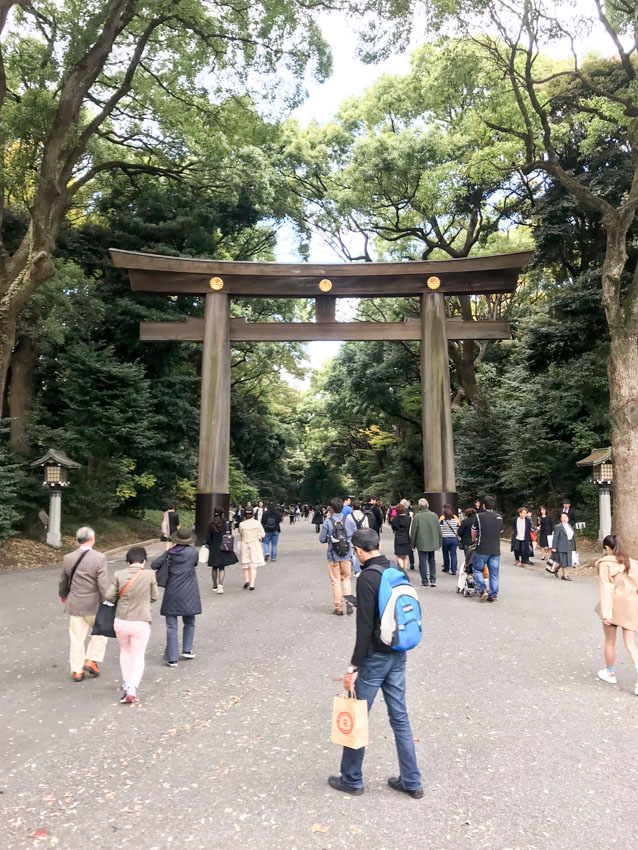 A tall arch made from wood, surrounded by people on the ground. Tall trees are visible
