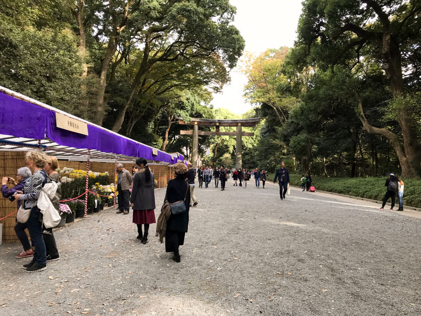 A wide path covered in gravel, with a large gate in the distance. In the foreground to the left are some stalls displaying plants