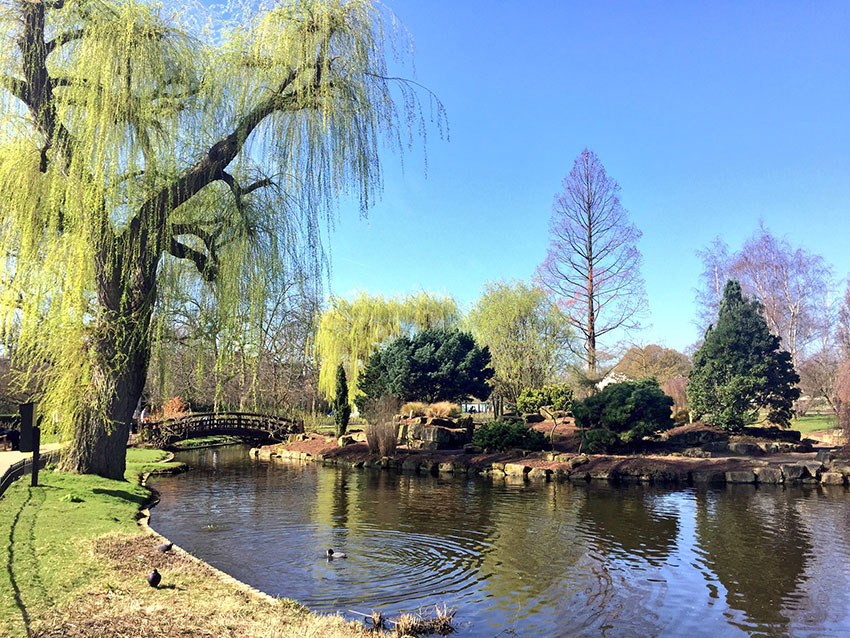 A view of Regent’s Park