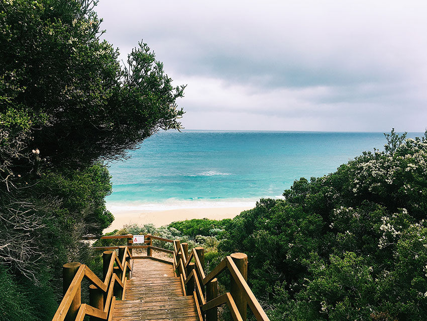 A wooden walkway with steps leading down to the left, with a yellow-sand beach and light blue ocean in the background. The foreground and end of the walkway is obscured by green shrubbery.