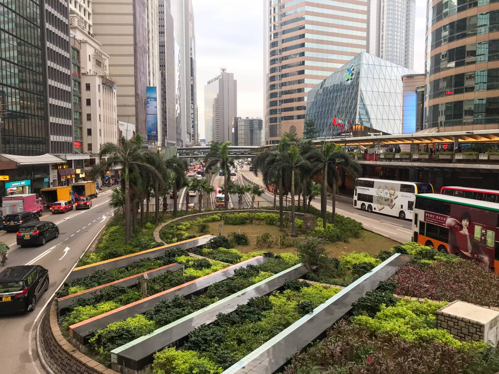 A business district of Hong Kong, where there is a busy road of vehicles. In the centre of the frame is a garden that appears to be well groomed and filled with some palm trees and shrubs.