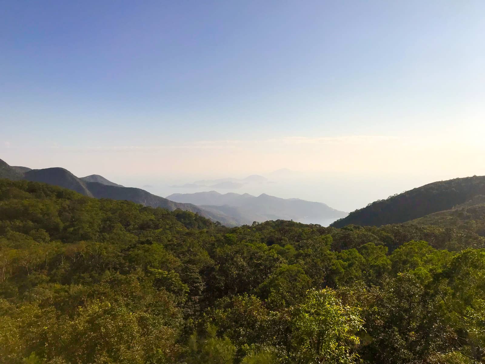 A view of blue sky and many trees, with some low mountains in the distance