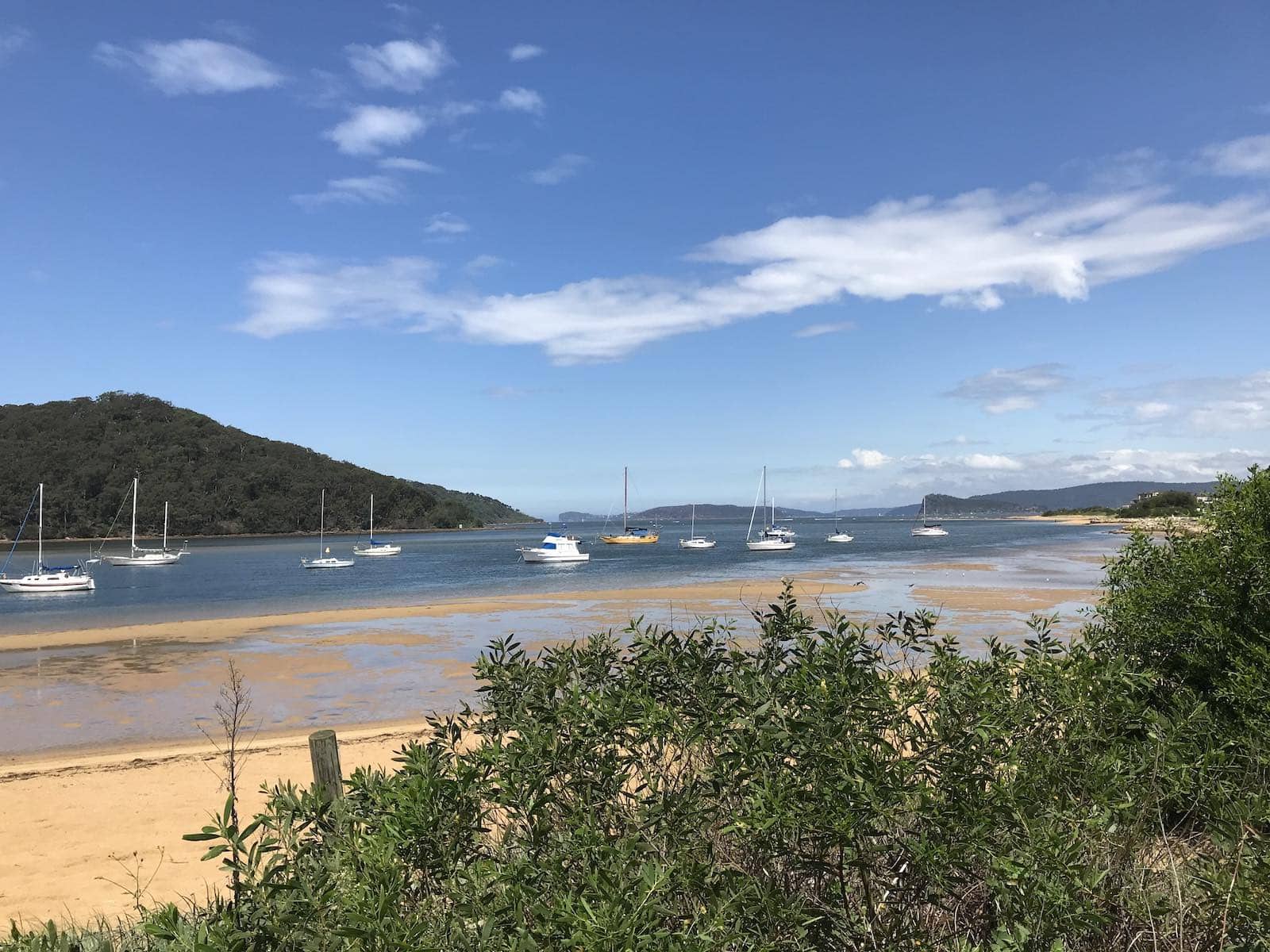 A beach at low tide with some small boats close to shore. In the foreground is some greenery slightly obstructing the view