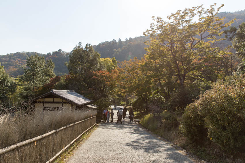 Some beautiful scenery upon exiting the rainforest and heading to the Hozugawa river