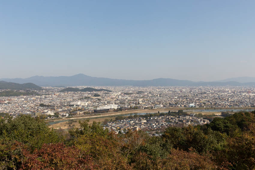 The beautiful view of both structured buildings and green nature from the top of the monkey park