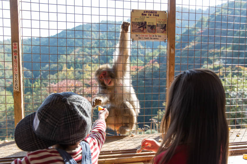 A boy and a girl feeding a monkey through the cage