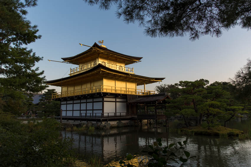 Another closer view of the Pavilion from around the other side