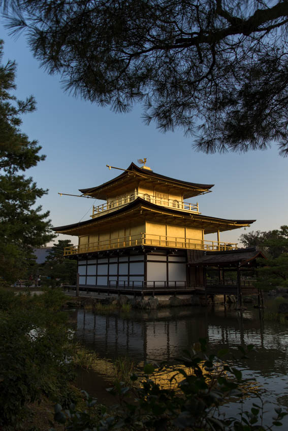 Another closer view of the Pavilion from around the other side (portrait orientation)