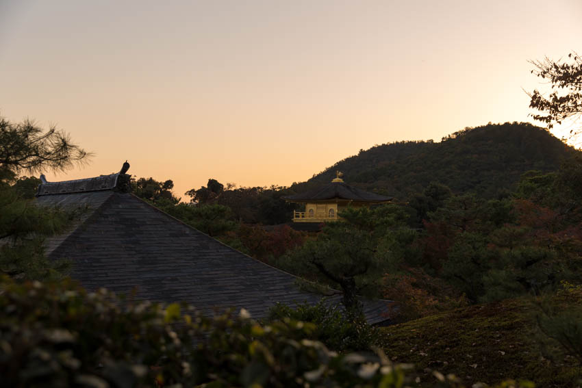 The Golden Pavilion from a slightly higher vantage point through some trees