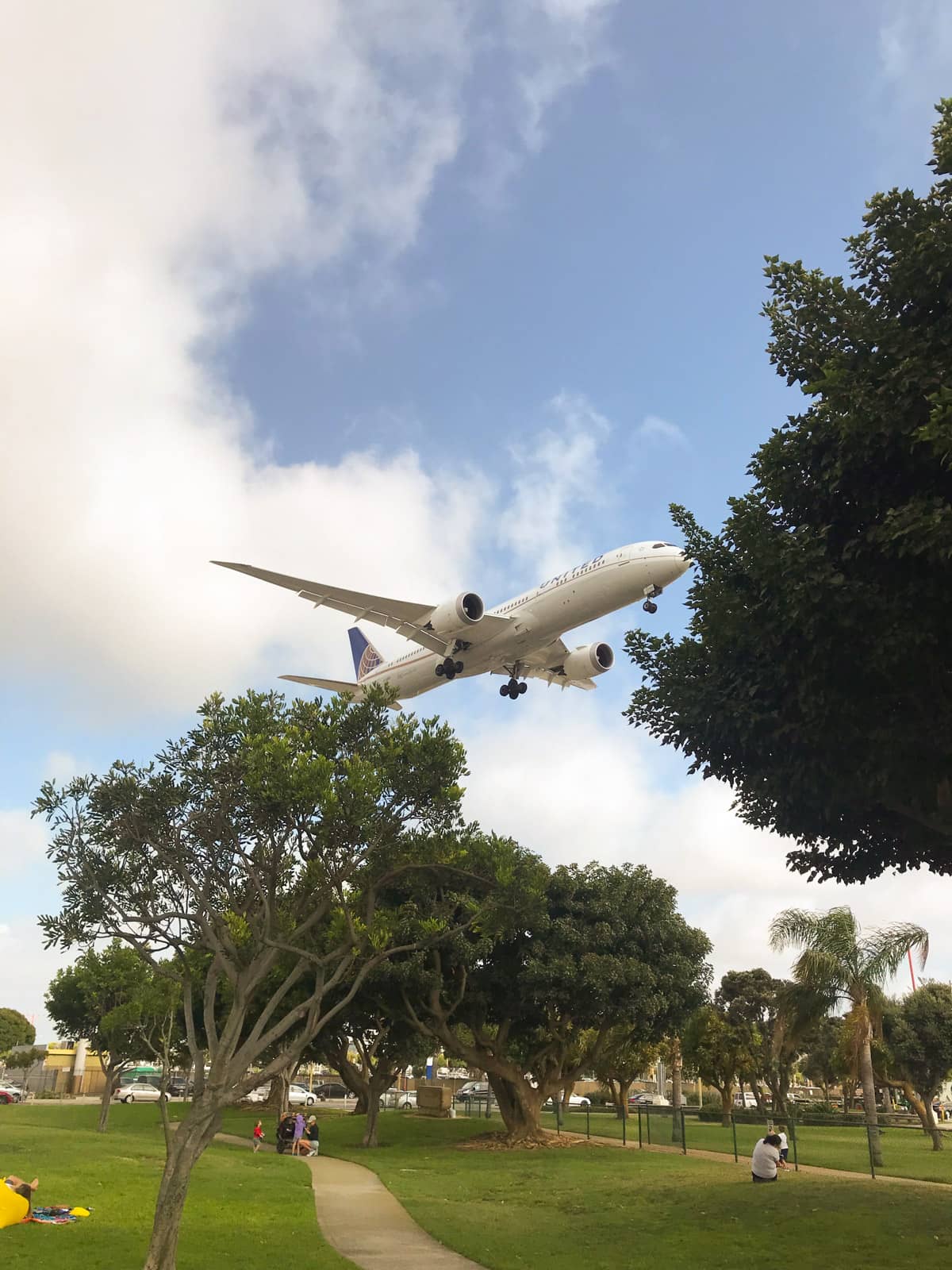 A view from a small park with a few trees and paths, with an airplane flying over, quite close to the ground