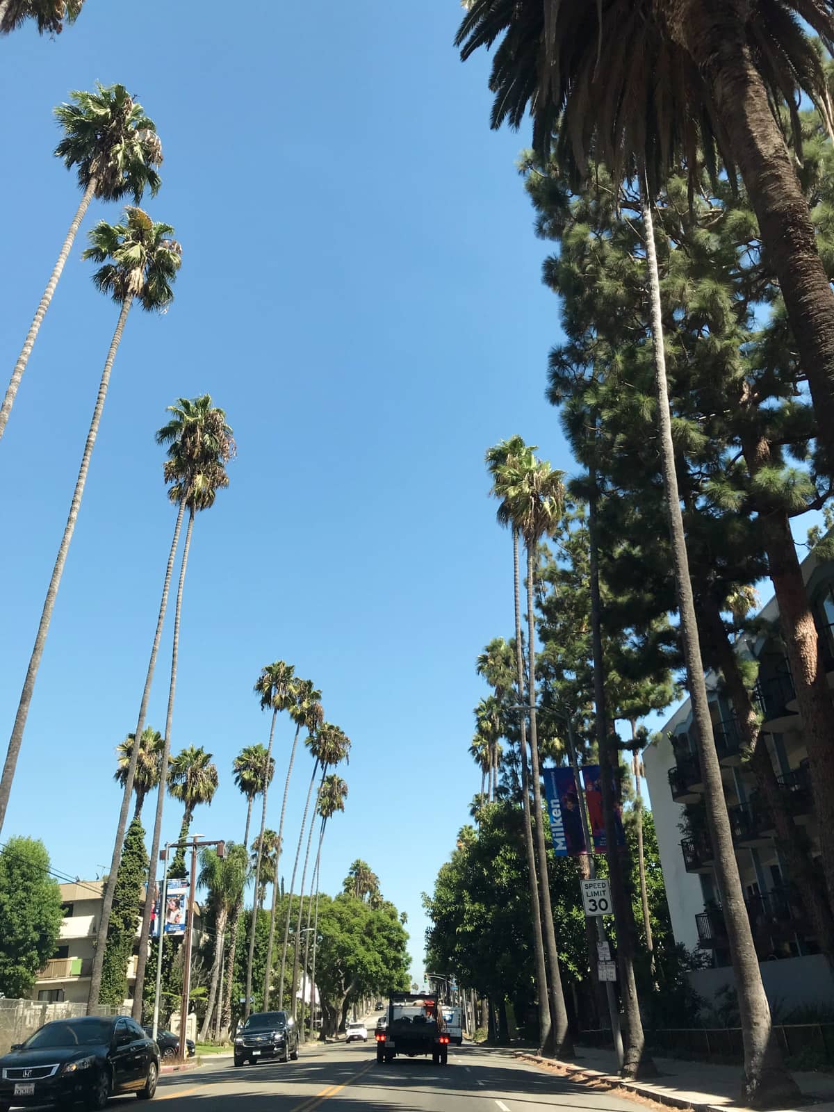 A view down a street in LA, partially shaded by palm trees spaced out evenly on the sides of the road. The skies are blue and have no clouds