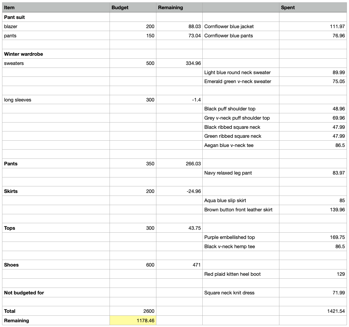 A screenshot of a spreadsheet of expenses, showing the names of various items of clothing