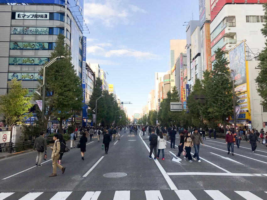 A street open to pedestrians with not a car in sight. The street is wide with several lanes. Green trees of the same height line the sides of the pavement and block the direct view of some of the storefronts.