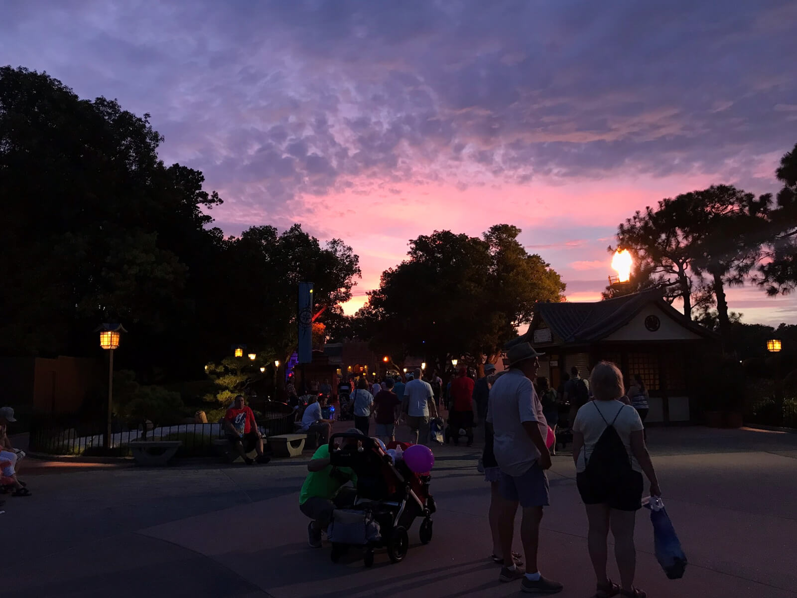 A pink and purple sky in the evening, behind dark trees. In the foreground are people and families with prams