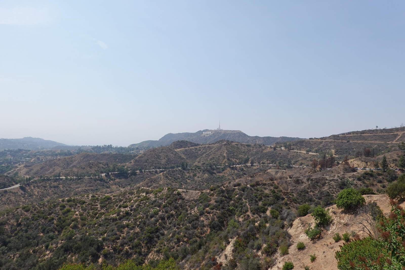 A hilly view with lots of trees and dirt, on a clear day. In the distance a “Hollywood” sign can be seen