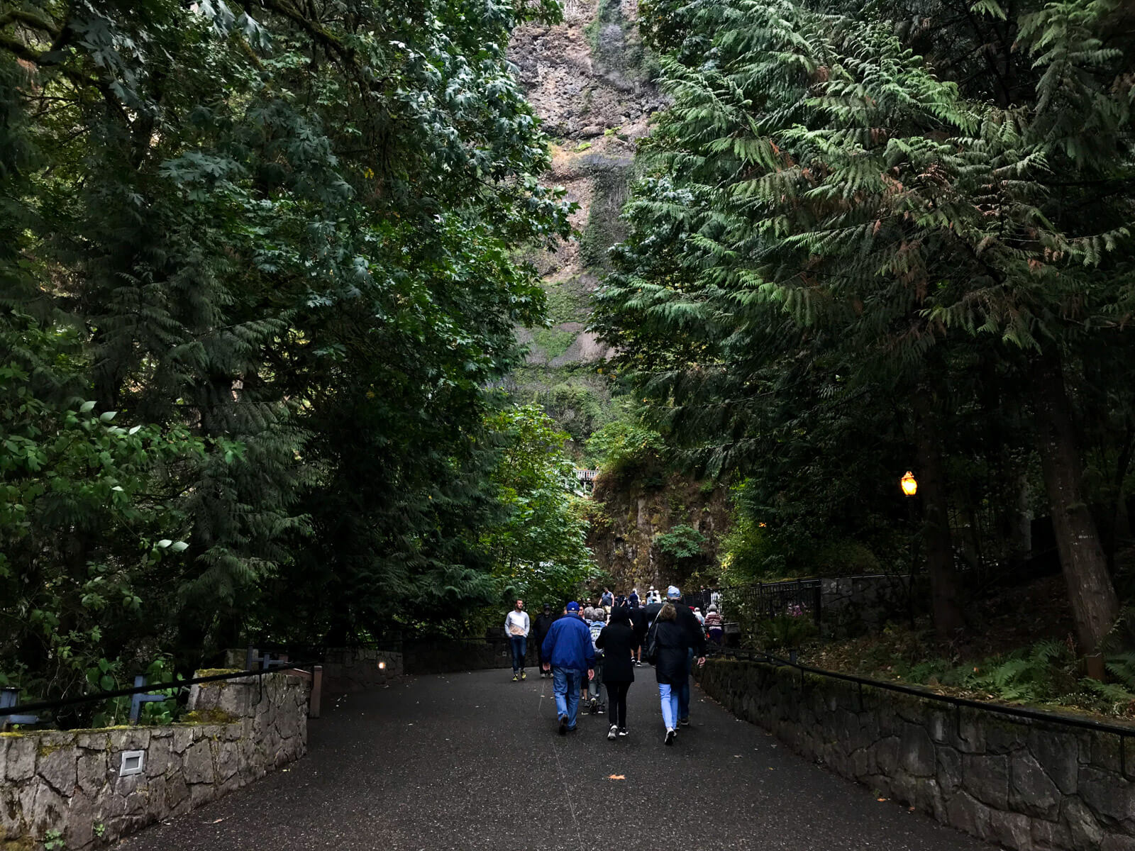 A wide pathway with short stone walls at the sides. At the sides, large trees rise high and create a high canopy over the path