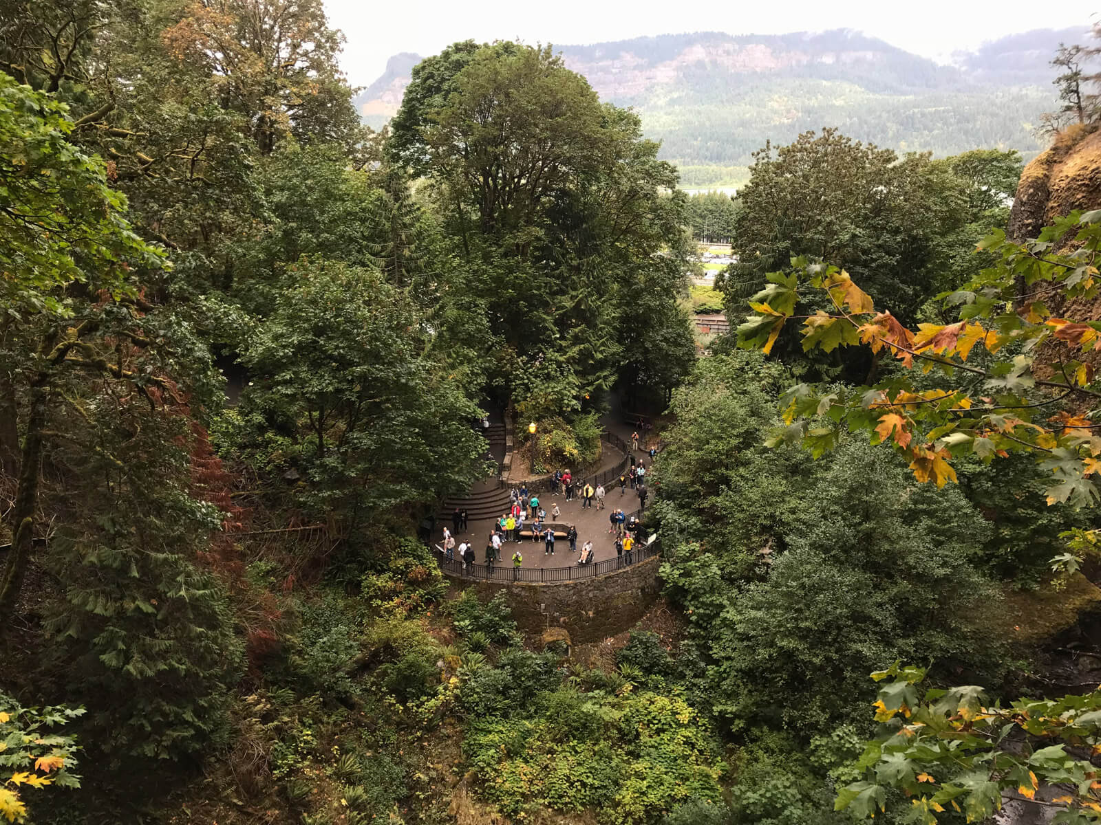 A large amount of trees, amongst which a round viewing platform with a railing can be seen a fair distance ahead and downwards. The viewing platform has many tourists on it