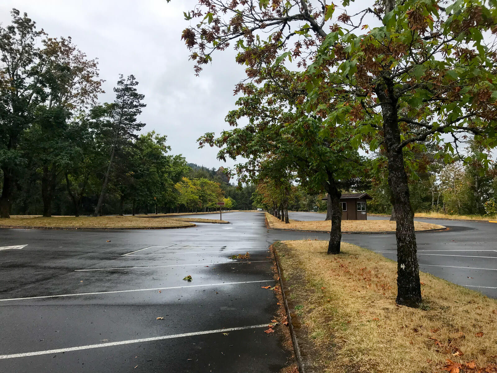 An empty parking lot. The ground is wet, presumably from rain. There are barren looking trees in the median strips