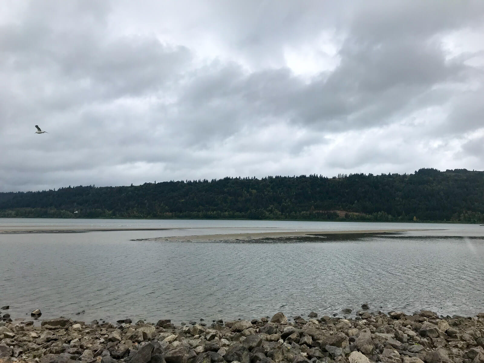 Another image of the rocky area, with shallow water, and large patches of sand in the distance. A bird is visible in the sky on the left of frame