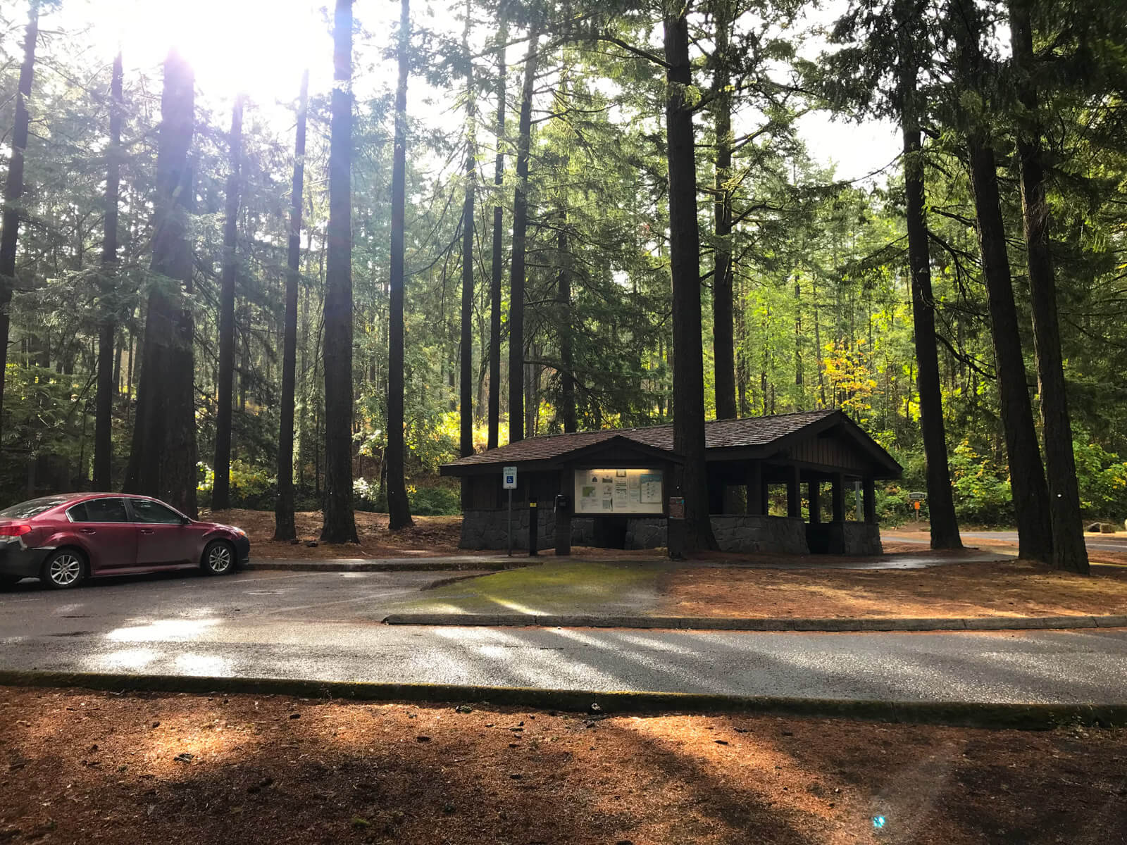 A small parking lot in the middle of a patch of very tall trees, like a forest. Sunlight is bleeding through the trees and there is a small building in centre of frame