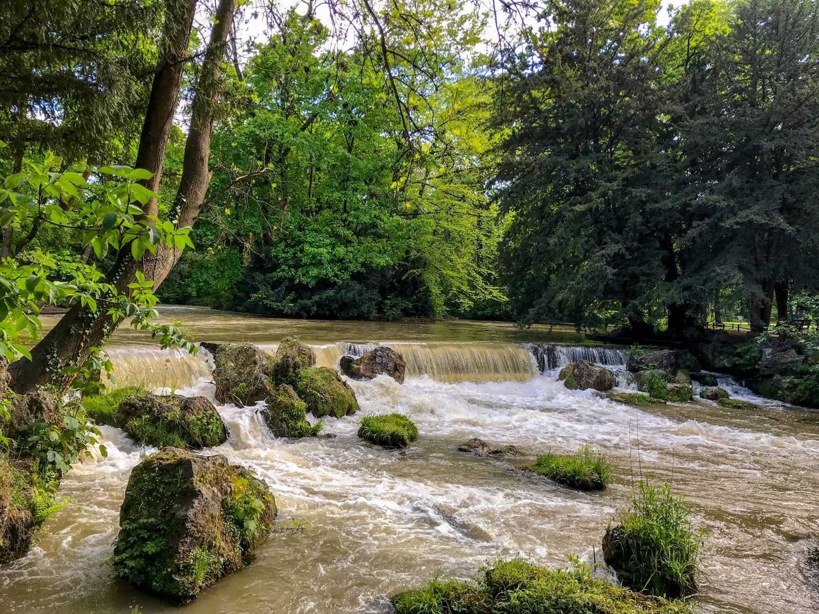 A muddy river rushing over rocks inside the river. The trees surrounding the river are very green.