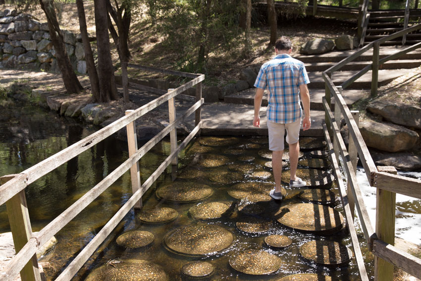 Taking steps on the round stepping stones