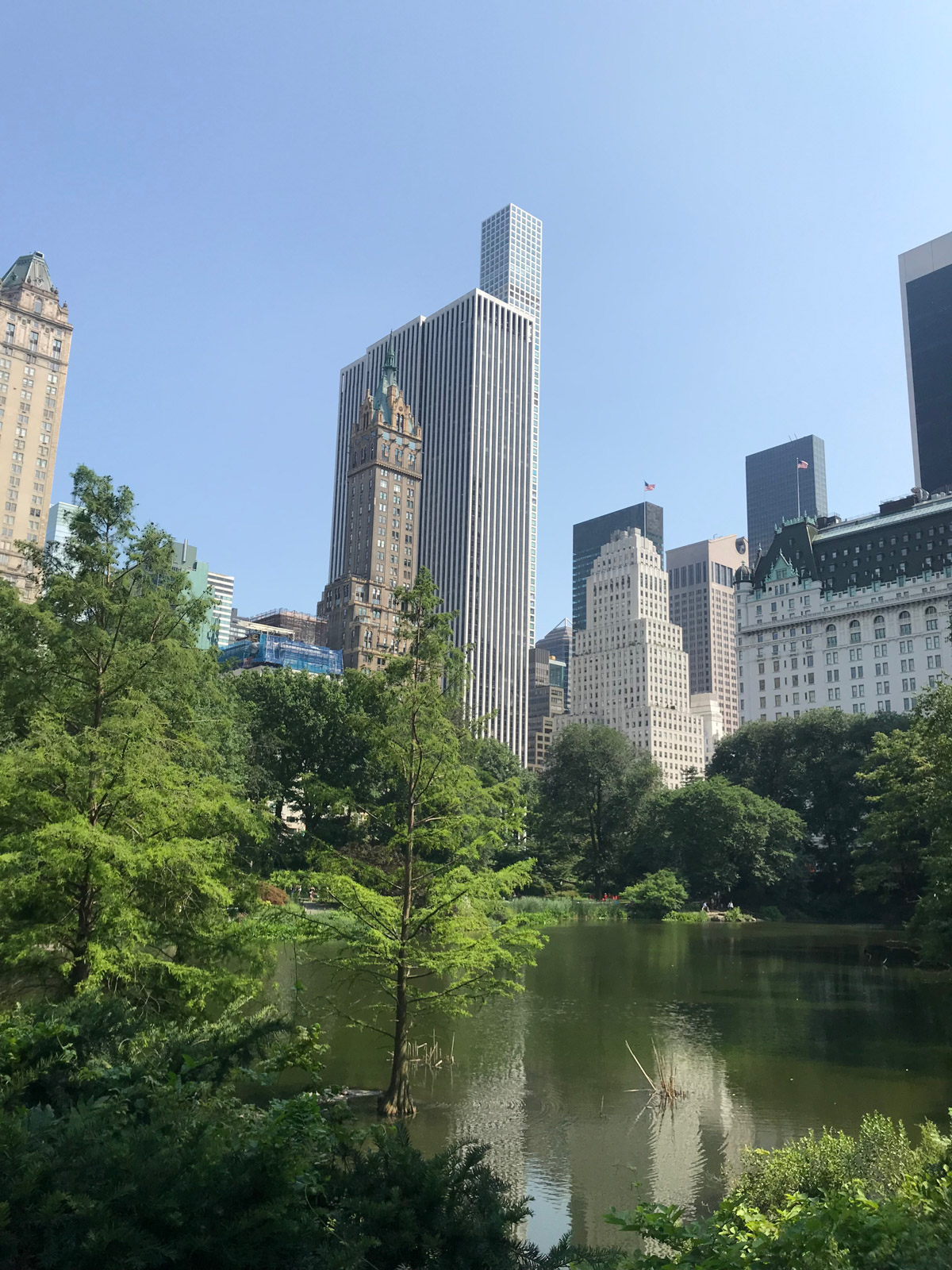 A portrait style photo, same view as the previous photo, taken from inside a park, with many trees and a pond in the foreground, and the city in the background