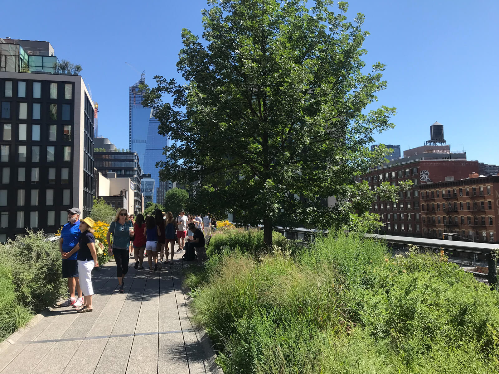 An elevated path above street level, with green bushes and small trees at the side of the path. Some people are walking on the path and buildings can be seen beyond the path