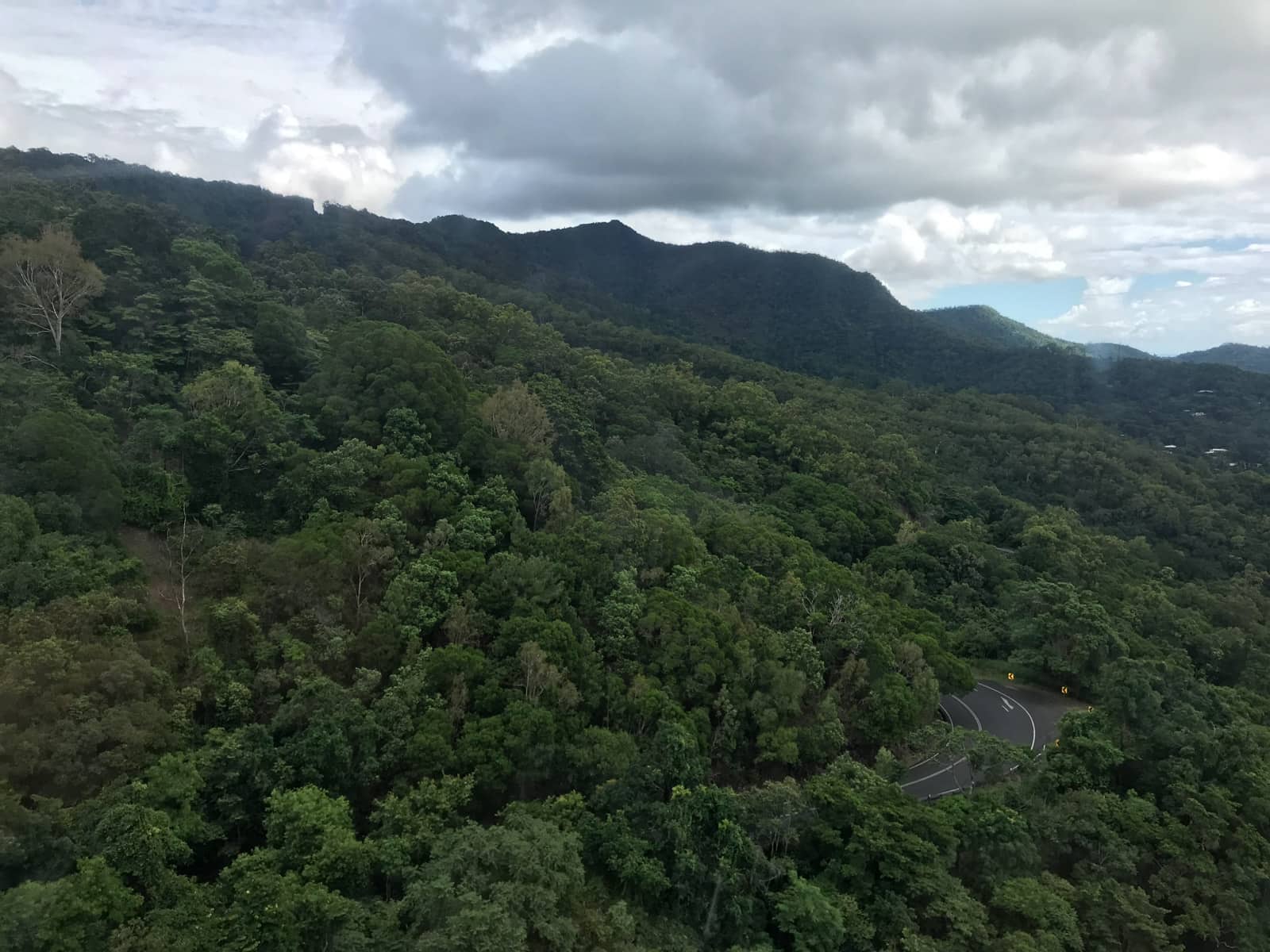 A view of a forest-like area on an incline, with a bit of roadway visible through some of the trees. It is a cloudy day