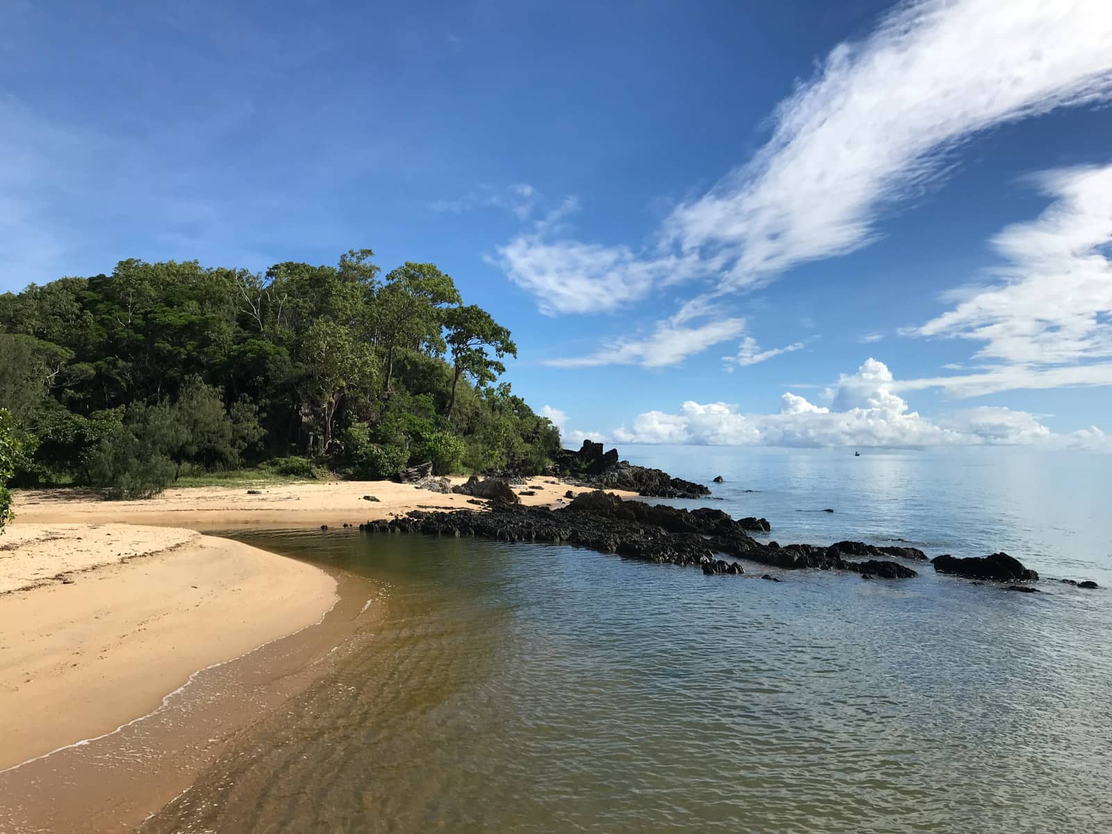 A view of the ocean with some rocks at the shore, and the yellow sandy shore visible. There are many trees on the land very close to the sand.