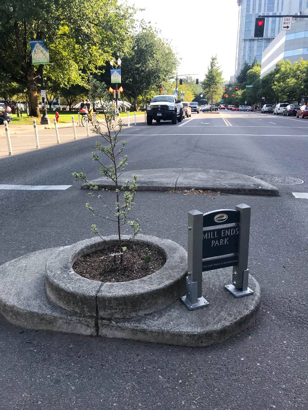 A small tree planted into a spot in the median strip of a busy city road. A small plaque next to the tree reads, Mill Ends Park