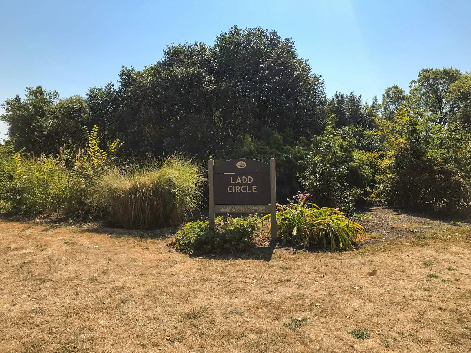 A reserve with sunburnt grass and thoughtfully placed shrubbbery. A small wooden sign amongst the planted shrubs reads “Ladd Circle”.