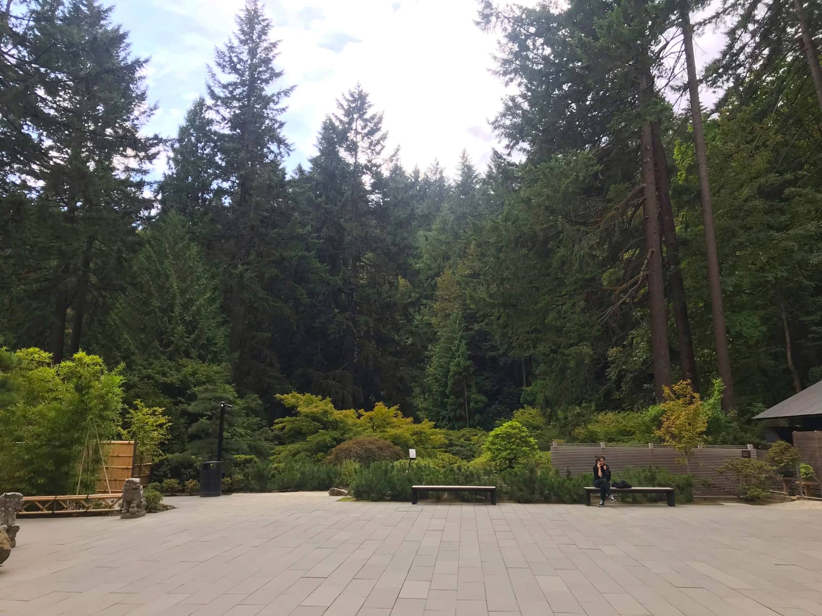 An open paved area with a forest in the background. At the edge of the paved area are a couple of benches. A woman is sitting on one of them and appears to be on the phone.