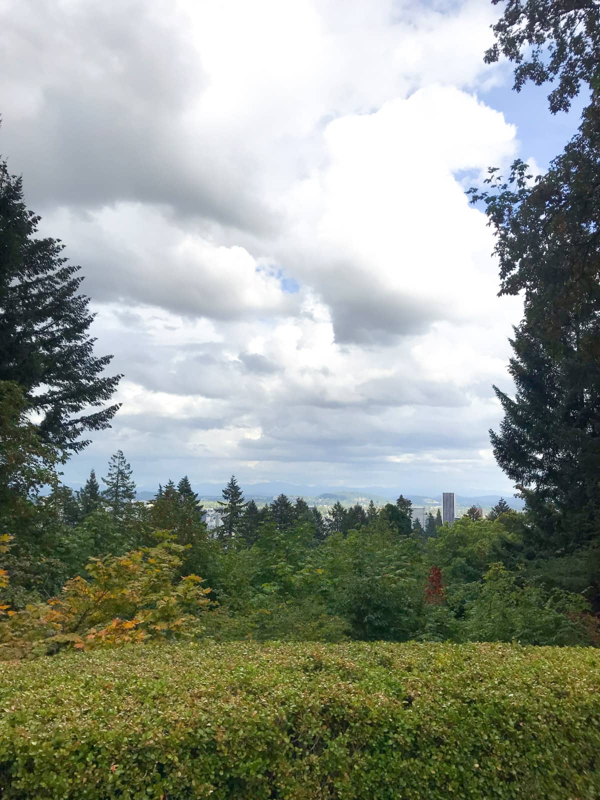 A view of a city from a high elevation, mostly obscured by trees and a hedge in the foreground. The sky is slightly cloudy.