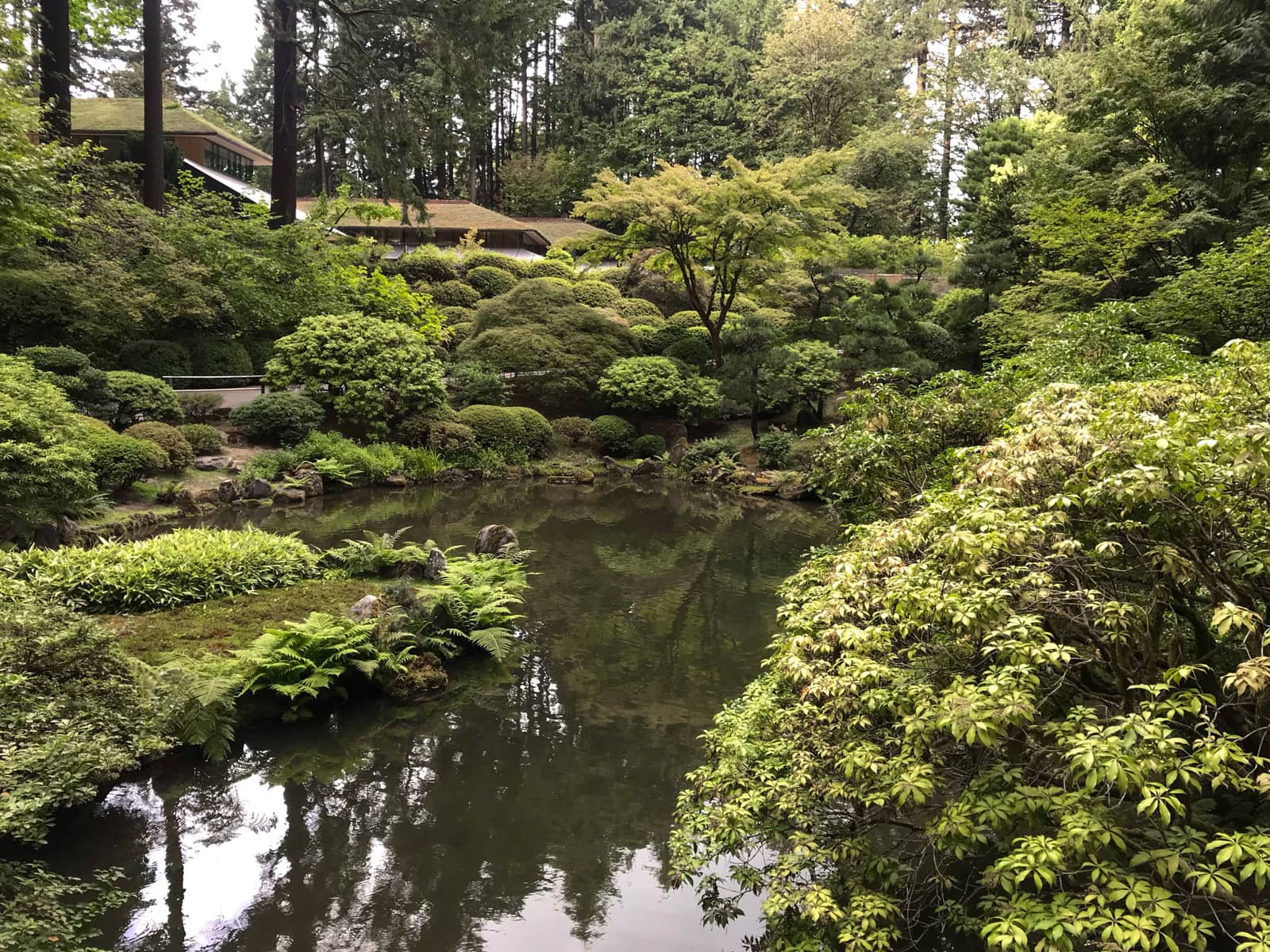 A pond surrounded by beautiful, lush green trees