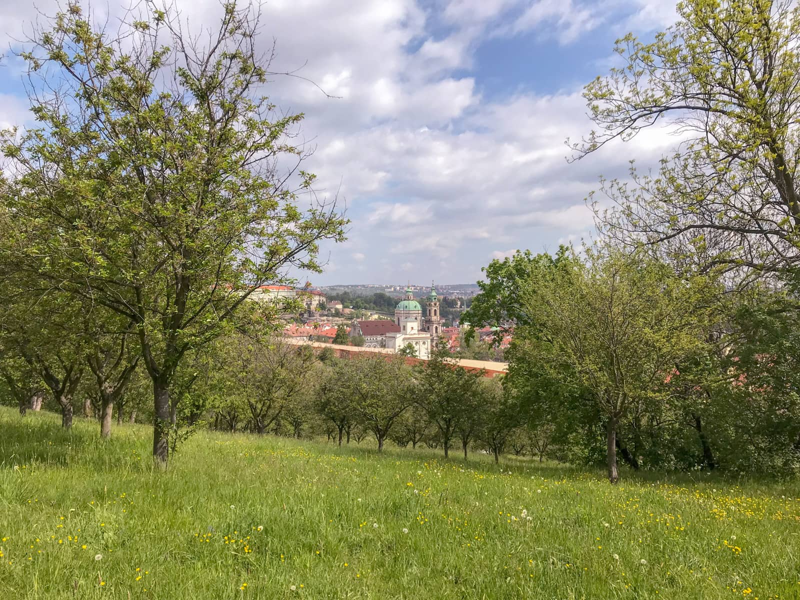 A view of old town Prague from high up in the hills, with some trees obstructing the view