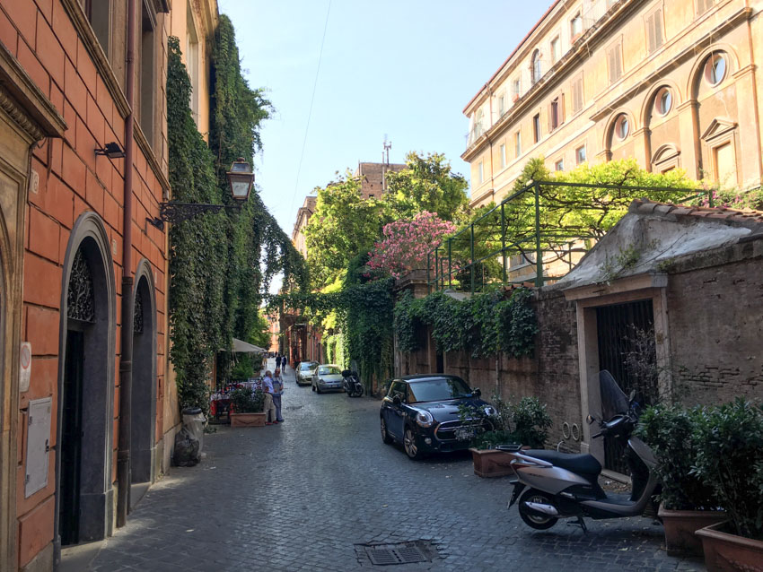 The lane with some plants growing down the buildings