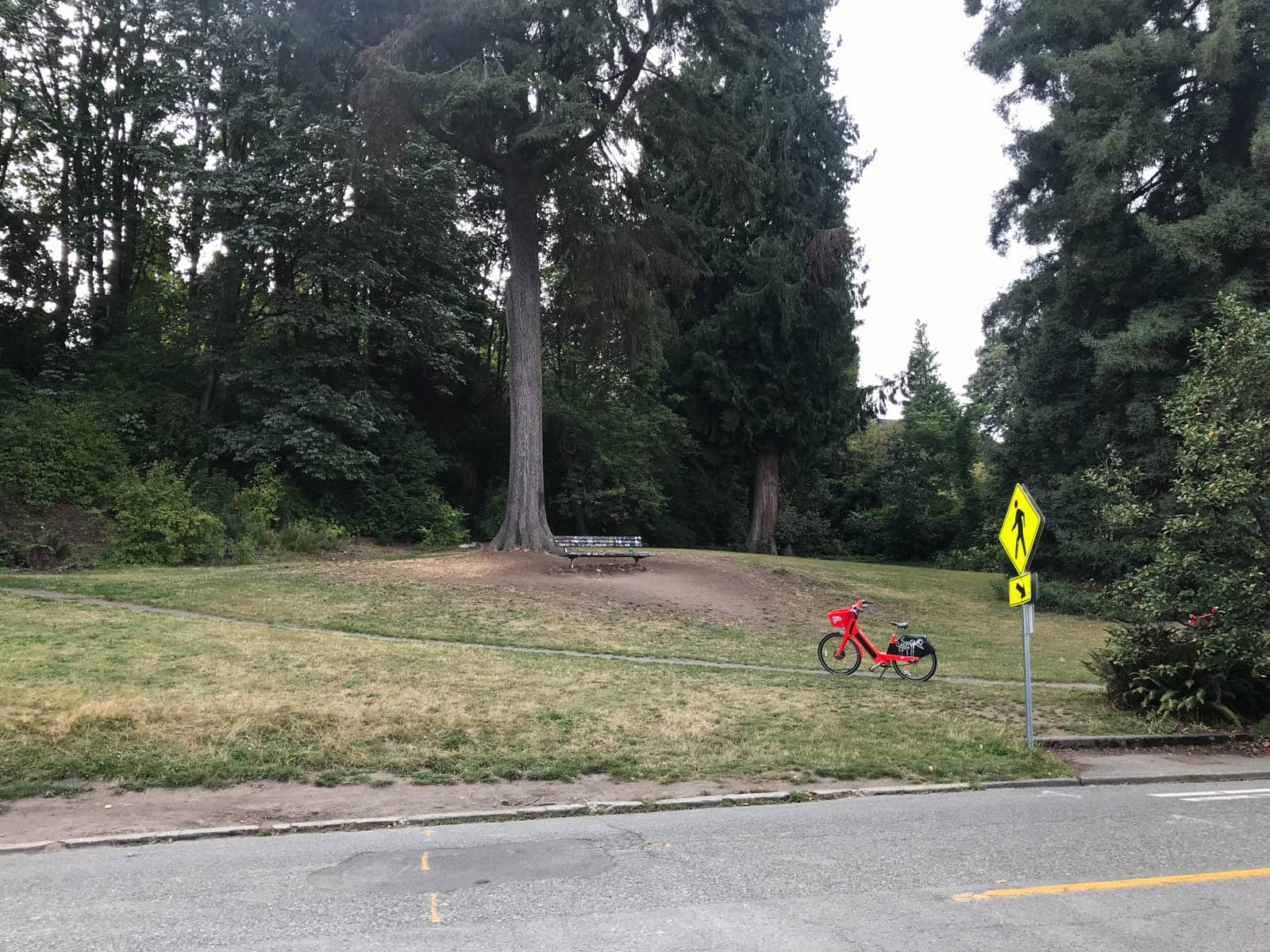 A park with open space, one big tree and a lone bench with one path across the front of it. There is a bright red bike on the path.