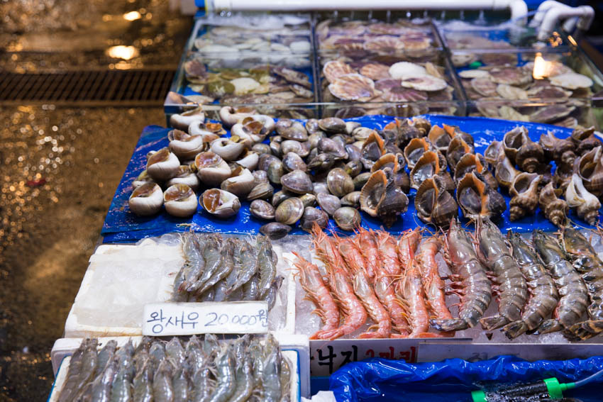 Some clams and shrimp lined up nicely