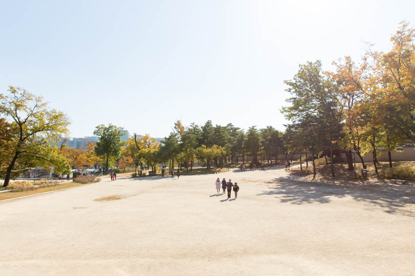 Wide view of the trees and the open gravel area, from the top of a shrine