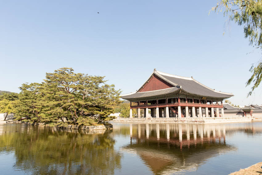 Beautiful lake view of a large tree and a traditional structure