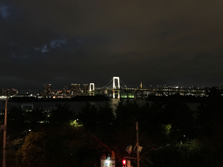 A city skyline at night. There is a bridge visible, lit up, and many high-rise buildings with the lights on. In the foreground the shadows of some trees are visible.