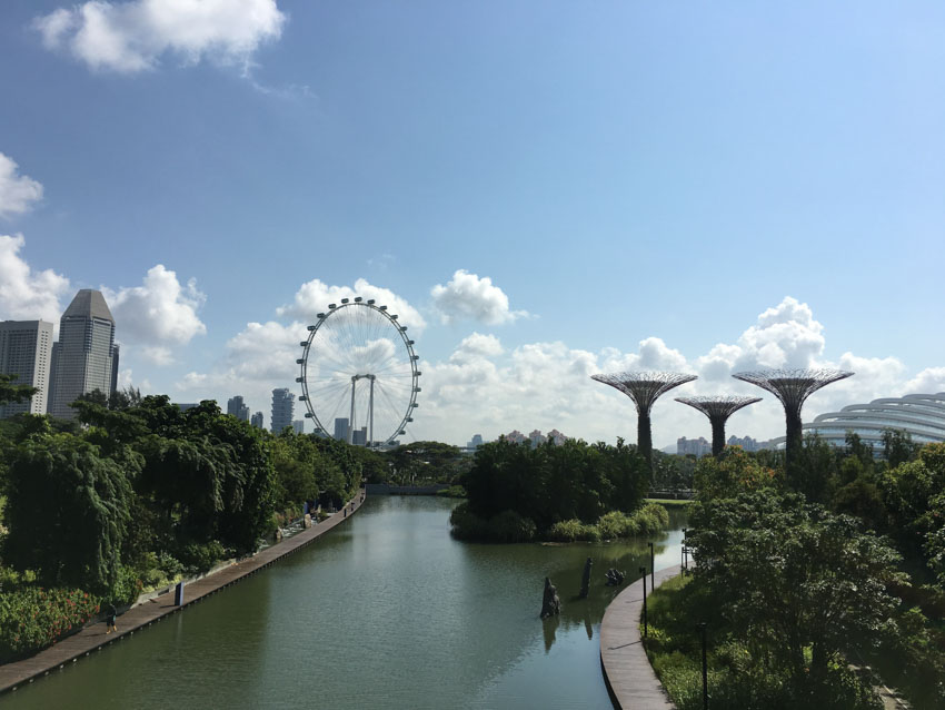 View with Singapore Flyer and Supertrees